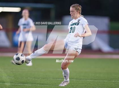 Thumbnail 3 in Birdville @ Argyle photogallery.