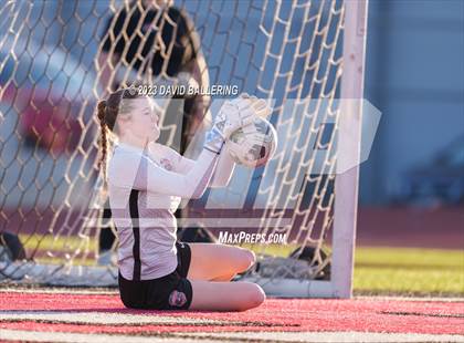 Thumbnail 2 in Birdville @ Argyle photogallery.