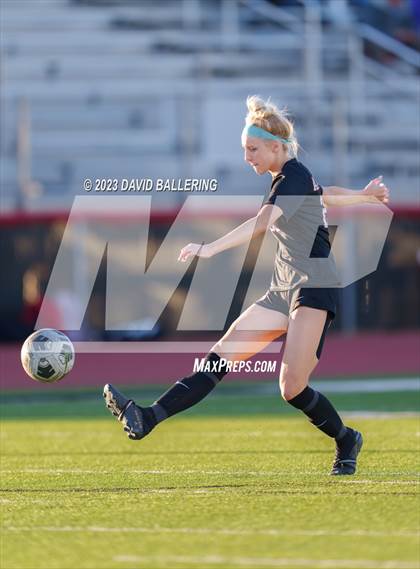 Thumbnail 2 in Birdville @ Argyle photogallery.