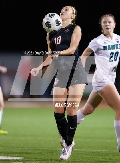 Thumbnail 2 in Birdville @ Argyle photogallery.