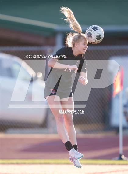 Thumbnail 1 in Birdville @ Argyle photogallery.