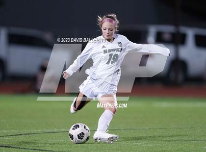 Thumbnail 2 in Birdville @ Argyle photogallery.