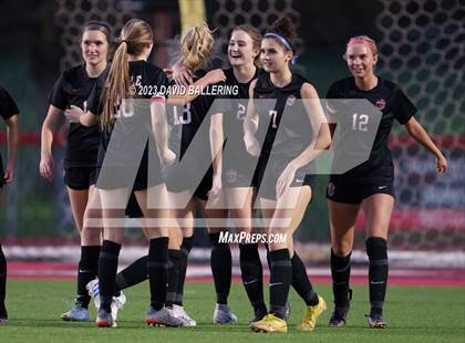 Thumbnail 2 in Birdville @ Argyle photogallery.