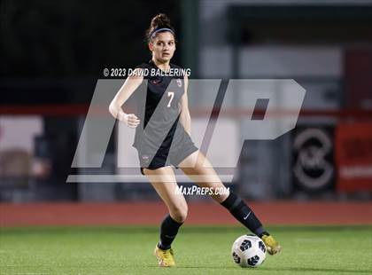 Thumbnail 2 in Birdville @ Argyle photogallery.
