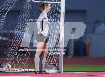Thumbnail 2 in Birdville @ Argyle photogallery.