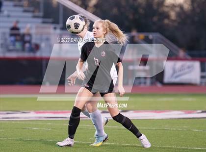 Thumbnail 3 in Birdville @ Argyle photogallery.