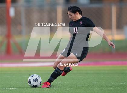 Thumbnail 3 in Birdville @ Argyle photogallery.