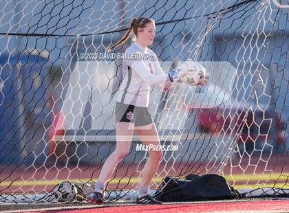 Thumbnail 1 in Birdville @ Argyle photogallery.