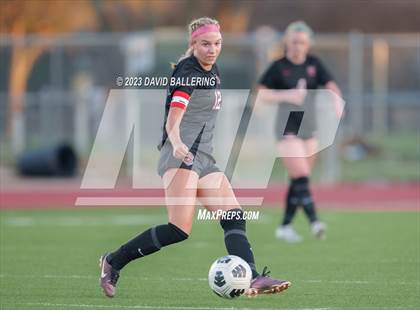 Thumbnail 3 in Birdville @ Argyle photogallery.