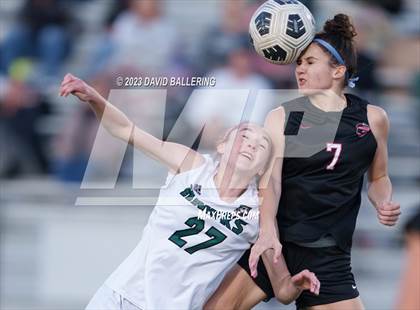 Thumbnail 3 in Birdville @ Argyle photogallery.