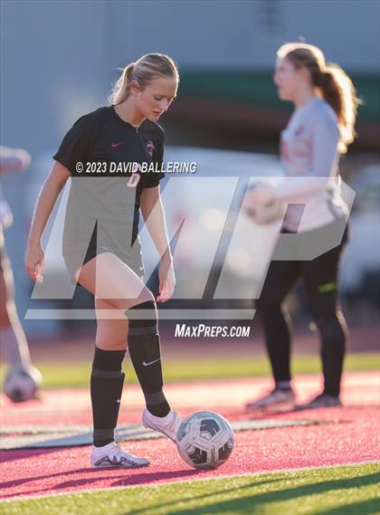 Thumbnail 1 in Birdville @ Argyle photogallery.