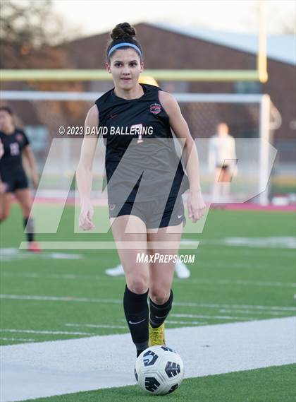 Thumbnail 1 in Birdville @ Argyle photogallery.