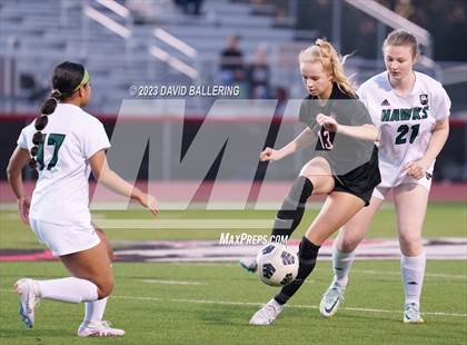 Thumbnail 3 in Birdville @ Argyle photogallery.