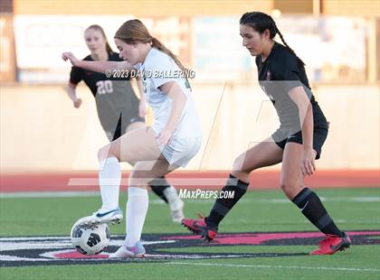 Thumbnail 1 in Birdville @ Argyle photogallery.