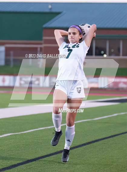 Thumbnail 3 in Birdville @ Argyle photogallery.