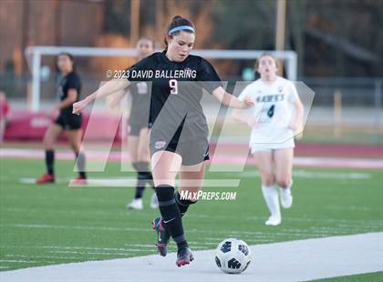 Thumbnail 3 in Birdville @ Argyle photogallery.
