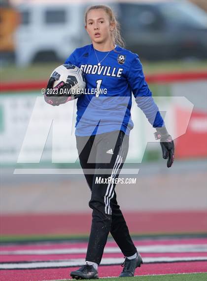 Thumbnail 3 in Birdville @ Argyle photogallery.