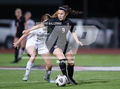 Thumbnail 1 in Birdville @ Argyle photogallery.
