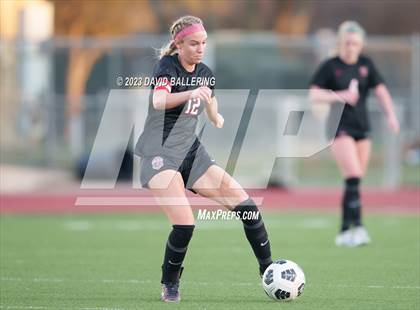 Thumbnail 1 in Birdville @ Argyle photogallery.