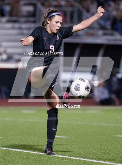 Thumbnail 3 in Birdville @ Argyle photogallery.