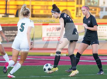 Thumbnail 2 in Birdville @ Argyle photogallery.