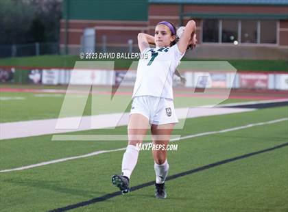 Thumbnail 1 in Birdville @ Argyle photogallery.