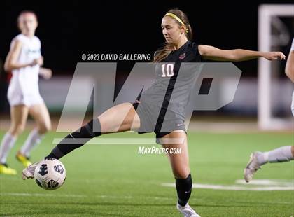 Thumbnail 2 in Birdville @ Argyle photogallery.