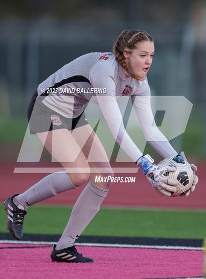 Thumbnail 1 in Birdville @ Argyle photogallery.