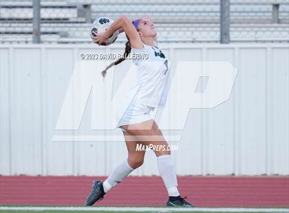 Thumbnail 2 in Birdville @ Argyle photogallery.