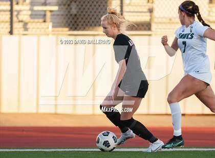 Thumbnail 3 in Birdville @ Argyle photogallery.