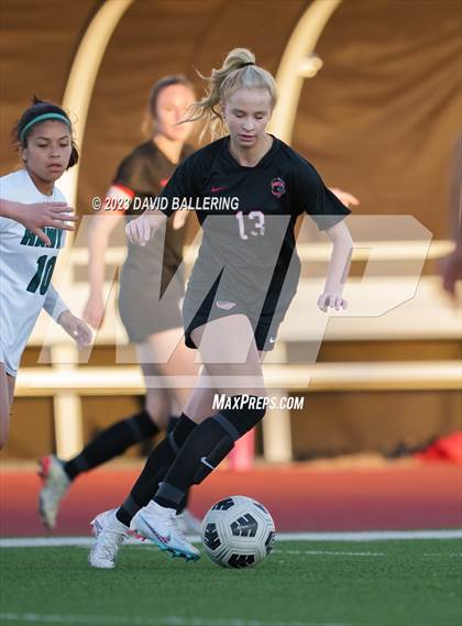 Thumbnail 2 in Birdville @ Argyle photogallery.