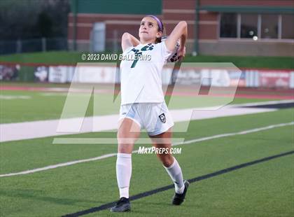 Thumbnail 2 in Birdville @ Argyle photogallery.