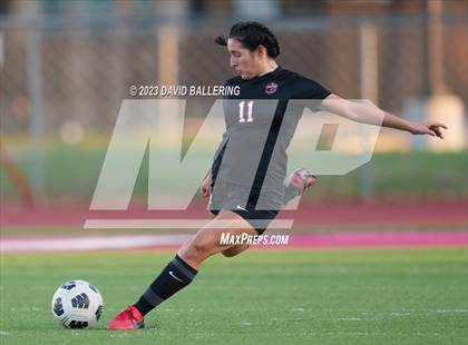 Thumbnail 2 in Birdville @ Argyle photogallery.