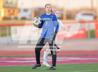 Thumbnail 1 in Birdville @ Argyle photogallery.