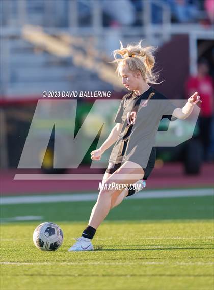 Thumbnail 1 in Birdville @ Argyle photogallery.