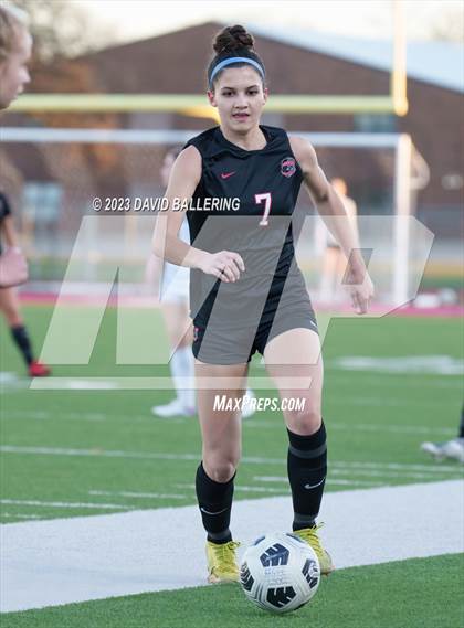 Thumbnail 2 in Birdville @ Argyle photogallery.