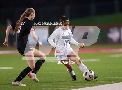 Thumbnail 3 in Birdville @ Argyle photogallery.