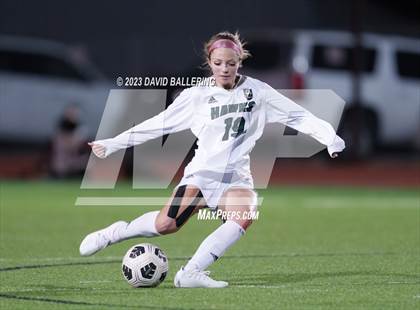 Thumbnail 1 in Birdville @ Argyle photogallery.