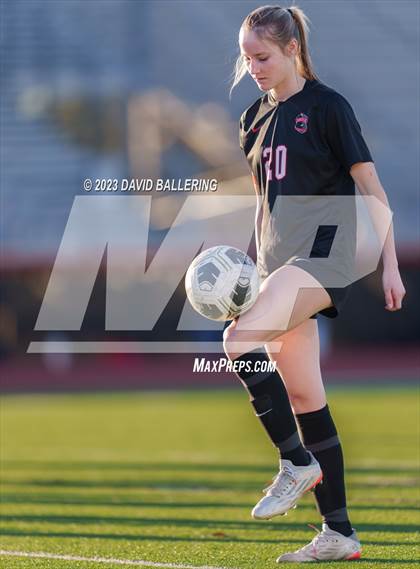 Thumbnail 1 in Birdville @ Argyle photogallery.