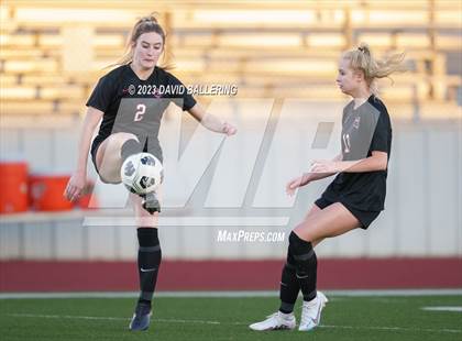 Thumbnail 2 in Birdville @ Argyle photogallery.