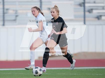 Thumbnail 2 in Birdville @ Argyle photogallery.