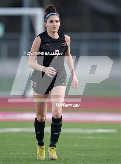 Thumbnail 3 in Birdville @ Argyle photogallery.