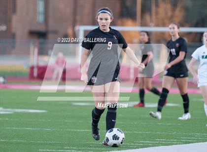 Thumbnail 2 in Birdville @ Argyle photogallery.