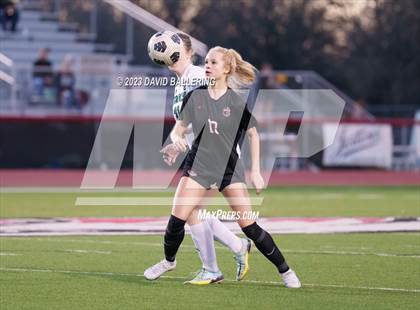 Thumbnail 2 in Birdville @ Argyle photogallery.