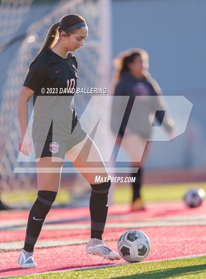 Thumbnail 3 in Birdville @ Argyle photogallery.