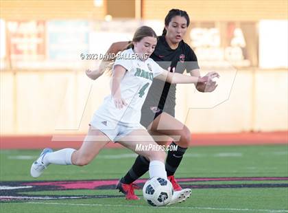 Thumbnail 2 in Birdville @ Argyle photogallery.