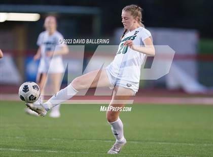 Thumbnail 1 in Birdville @ Argyle photogallery.