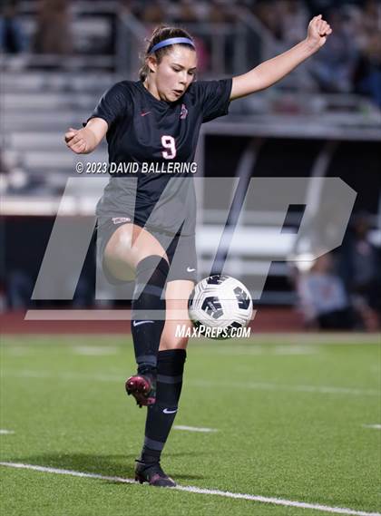 Thumbnail 3 in Birdville @ Argyle photogallery.
