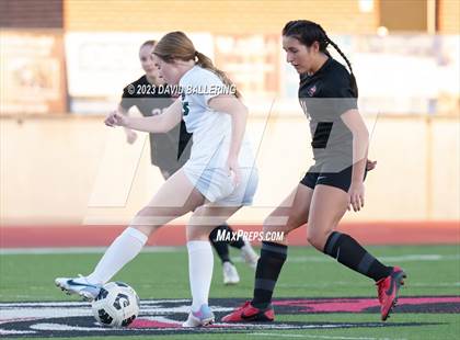 Thumbnail 3 in Birdville @ Argyle photogallery.