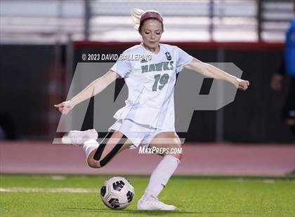 Thumbnail 1 in Birdville @ Argyle photogallery.